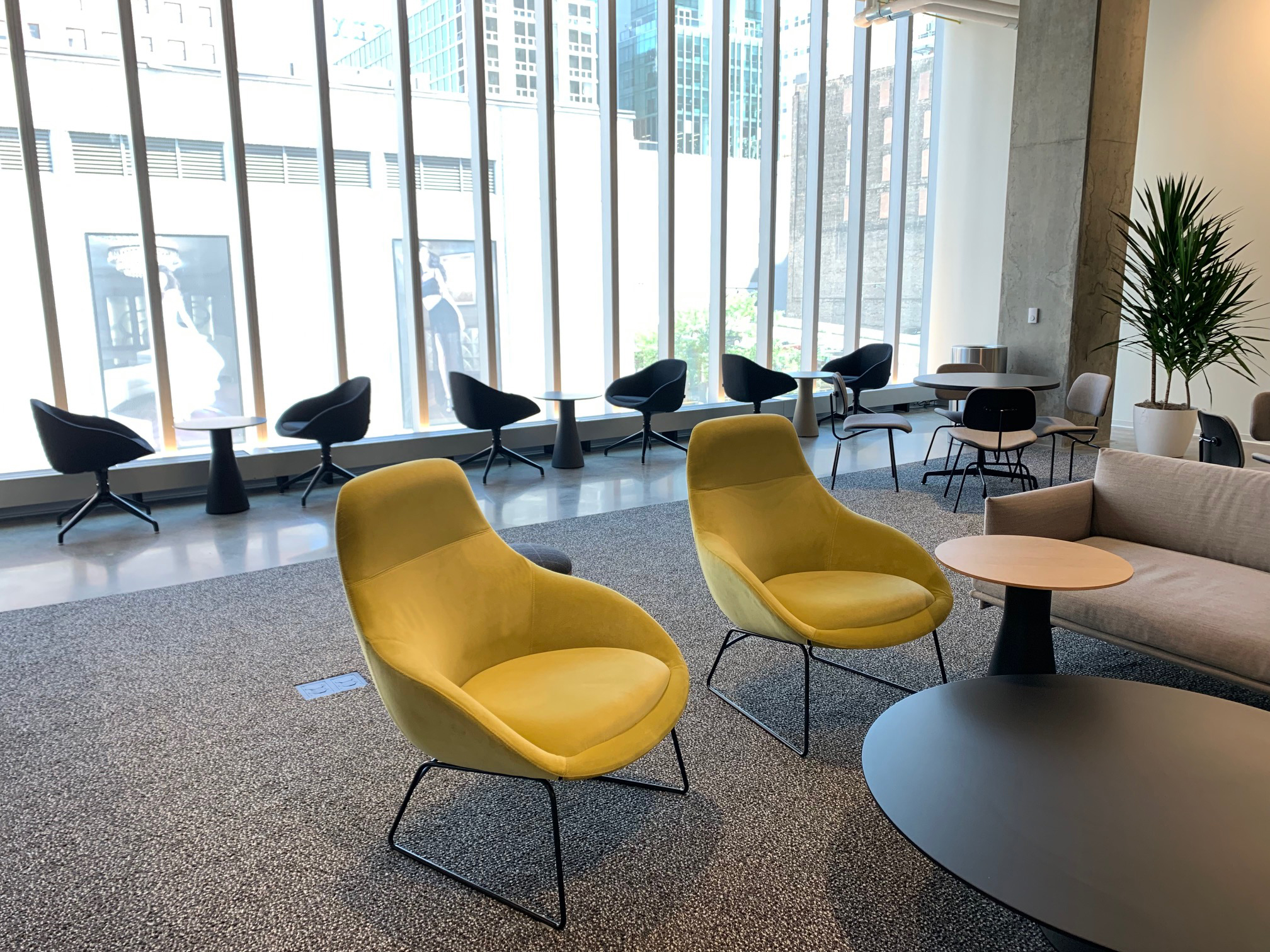 COLUMBIACOLLEGE_ALLOBSL_ALCHB4S_HR.jpg